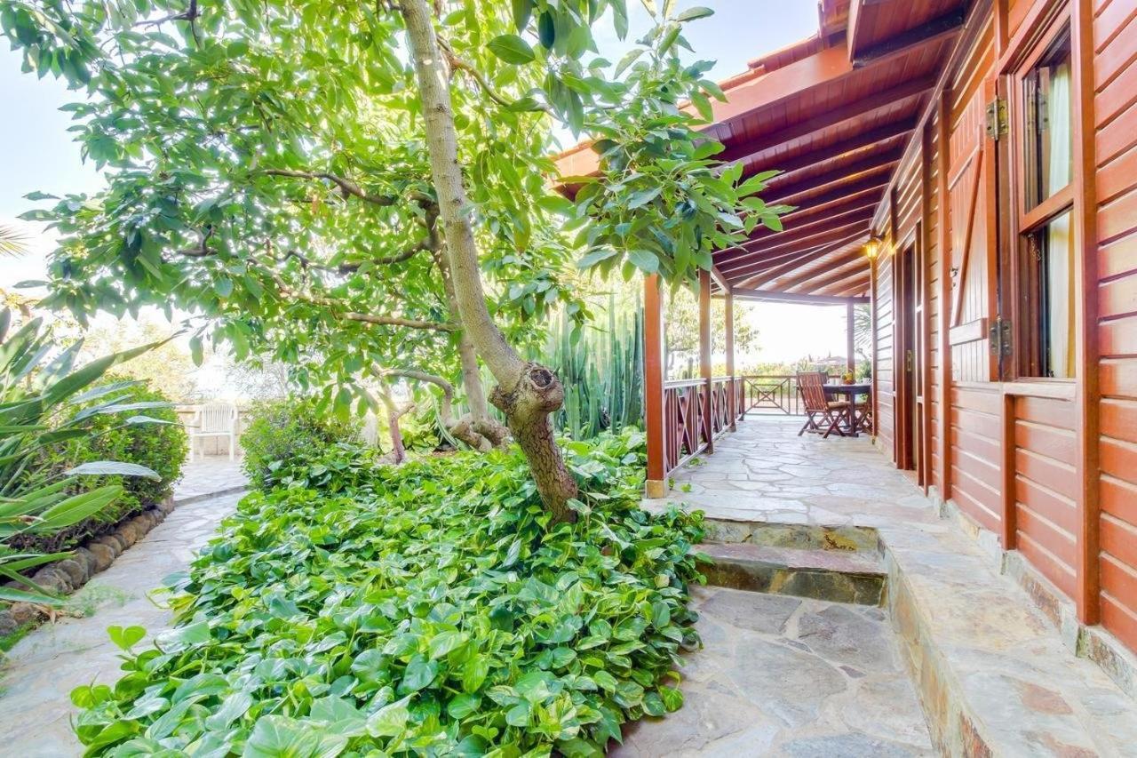 Villa Mimosa Arafo Exterior photo
